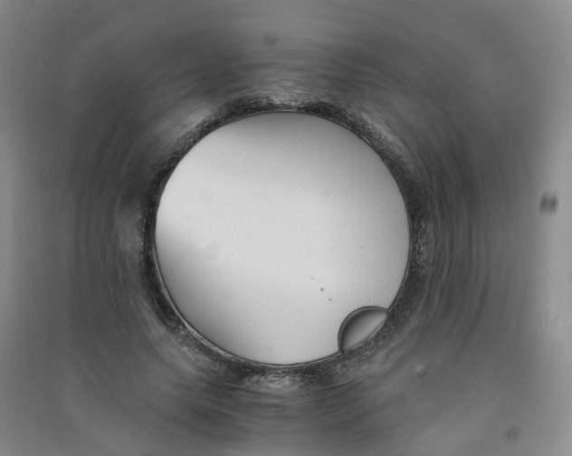 X0000090920639200708201807