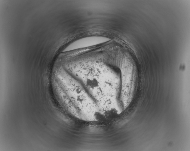 X0000090920641200708201807