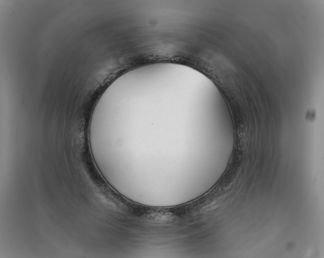 X0000090920642200708201807