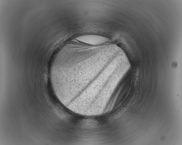 X0000090920644200708201807