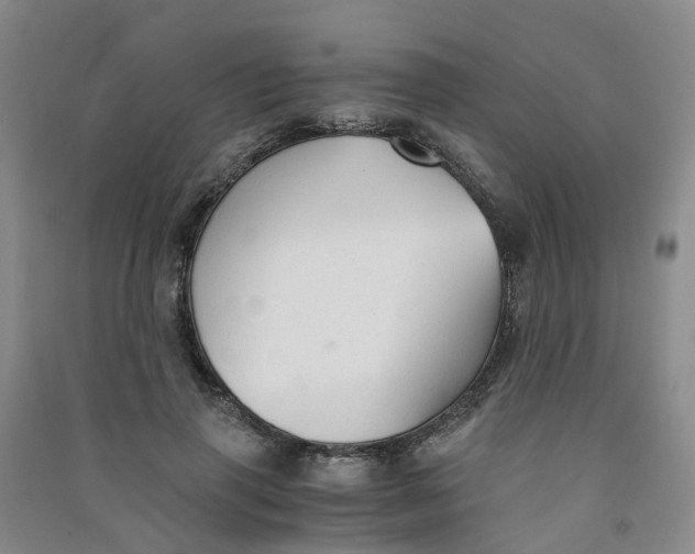 X0000090920645200708201807