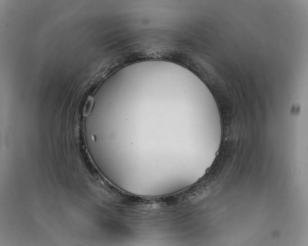 X0000090920646200708201807