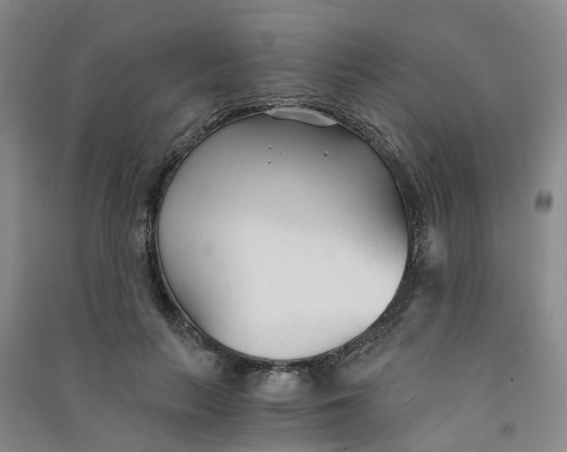 X0000090920647200708201807