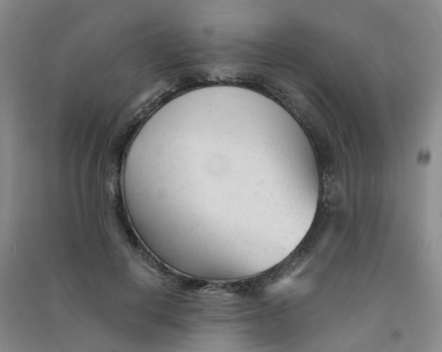 X0000090920648200708201807