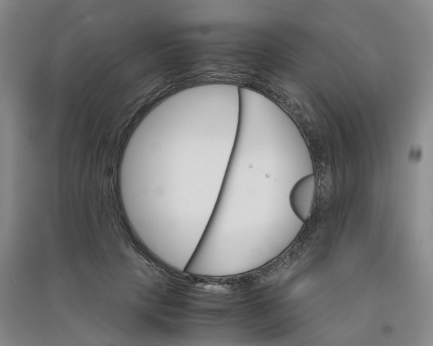 X0000090920649200708201807