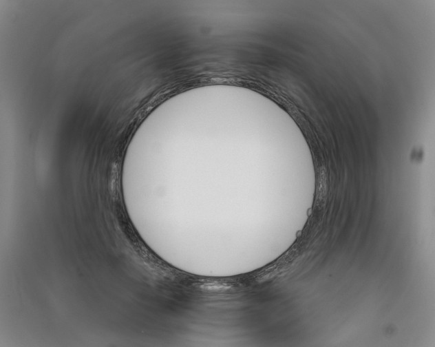 X0000090920650200708201807