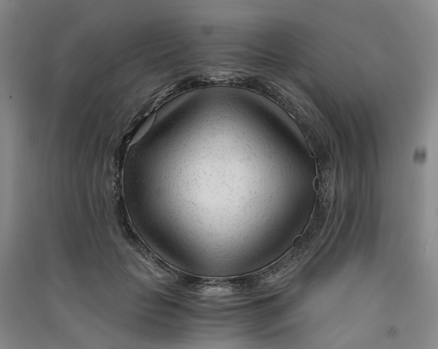 X0000090920653200708201807