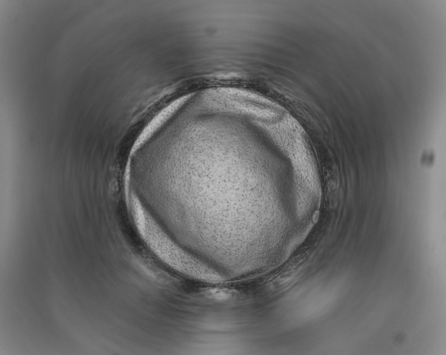 X0000090920654200708201807