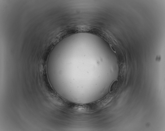 X0000090920655200708201807