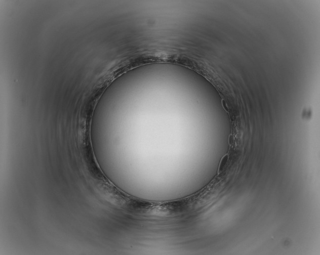 X0000090920656200708201807