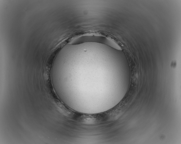 X0000090920658200708201807