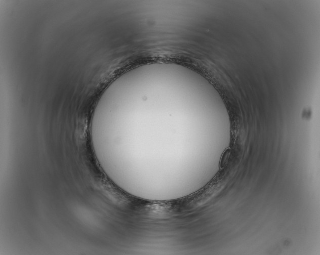 X0000090920660200708201807