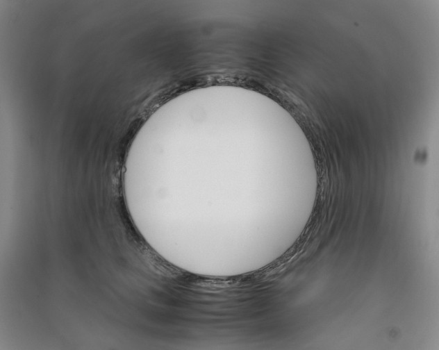 X0000090920661200708201807