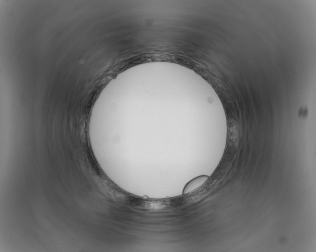 X0000090920662200708201807