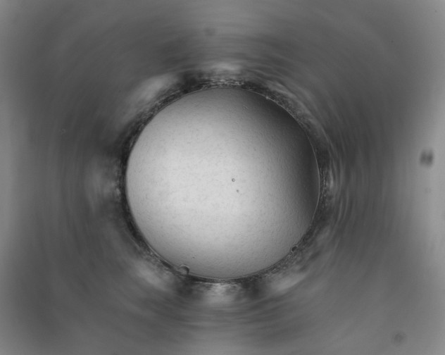 X0000090920663200708201807