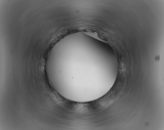 X0000090920664200708201807