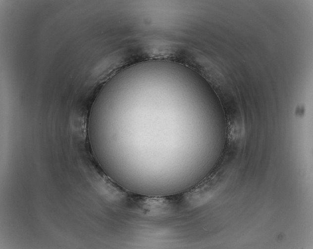 X0000090920666200708201807