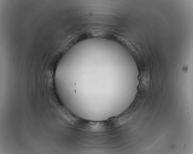 X0000090920667200708201807