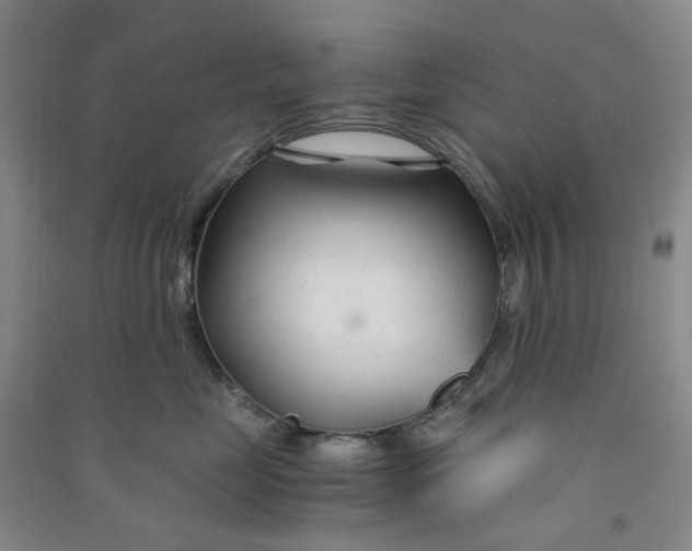 X0000090920669200708201807