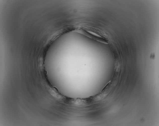 X0000090920670200708201807