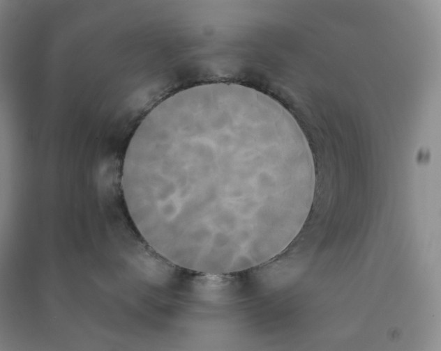 X0000090920672200708201807