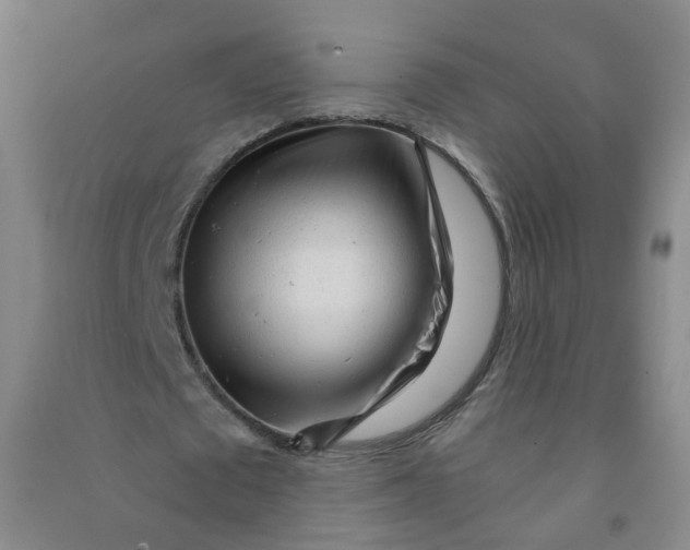 X0000090920673200708201807