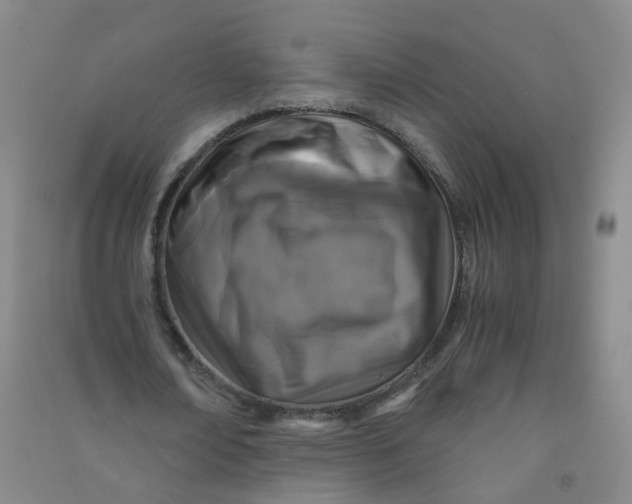 X0000090920674200708201806