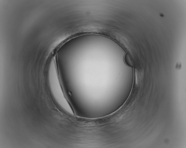 X0000090920675200708201806