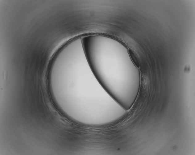 X0000090920676200708201806