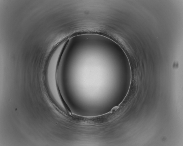 X0000090920677200708201806