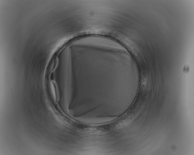 X0000090920678200708201806