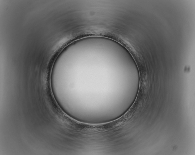 X0000090920679200708201806