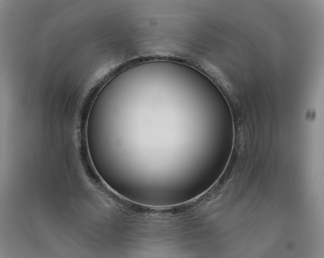 X0000090920680200708201806