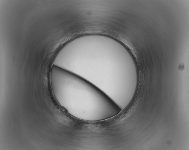 X0000090920681200708201806