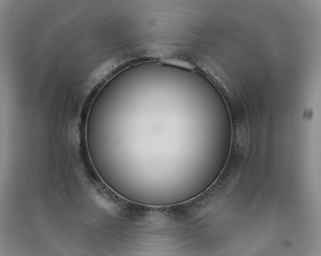 X0000090920682200708201806