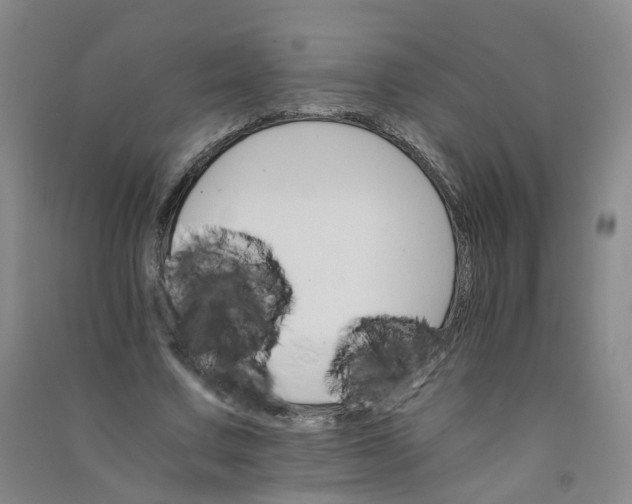 X0000090920683200708201806