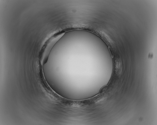 X0000090920684200708201806