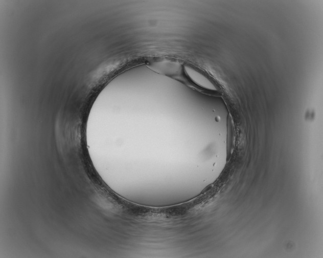 X0000090920685200708201806