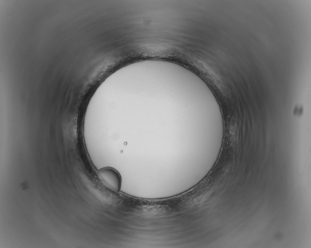 X0000090920686200708201806