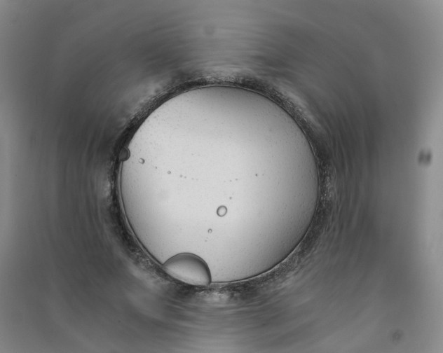 X0000090920687200708201806