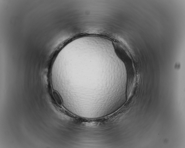 X0000090920688200708201806