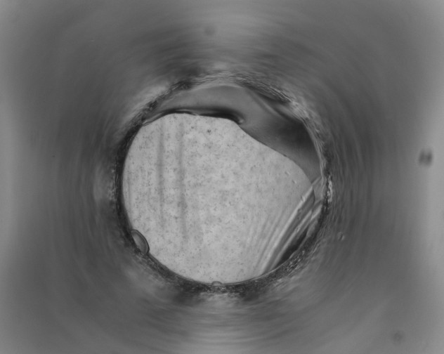 X0000090920689200708201806