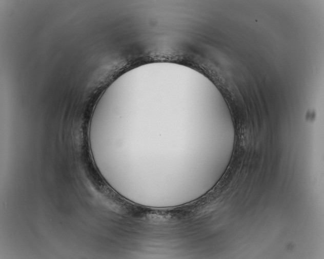 X0000090920690200708201806