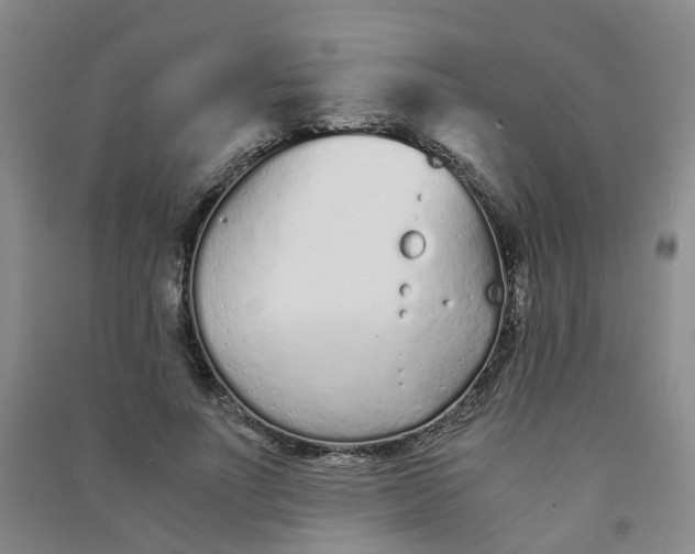 X0000090920691200708201806