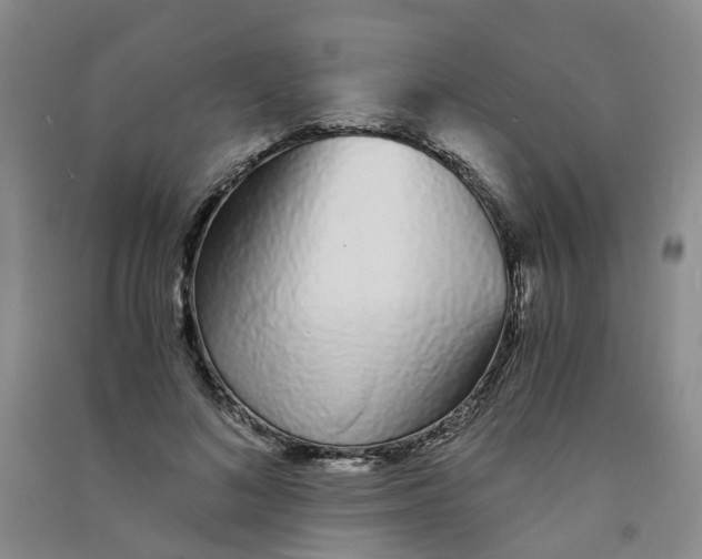 X0000090920692200708201806