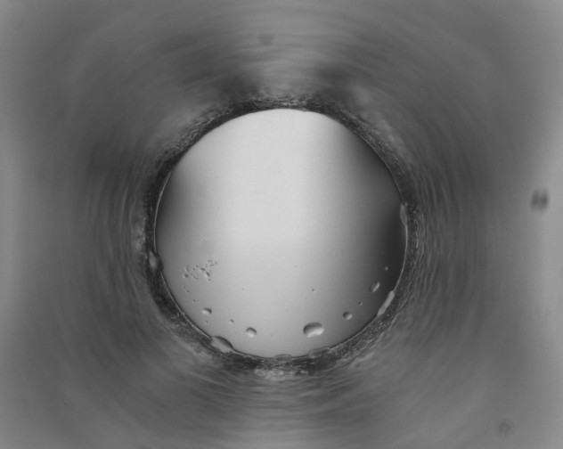 X0000090920693200708201806