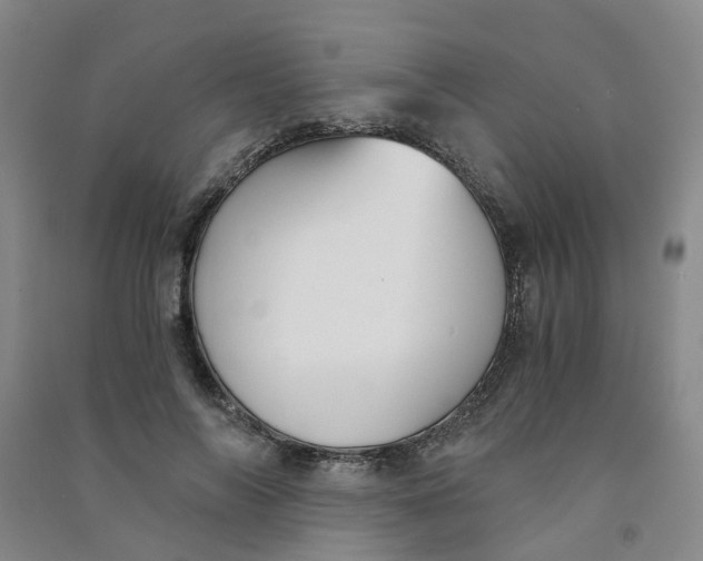 X0000090920694200708201806