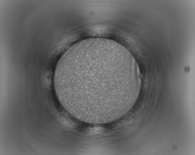 X0000090920695200708201806