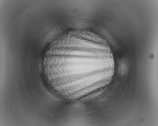 X0000090920696200708201806