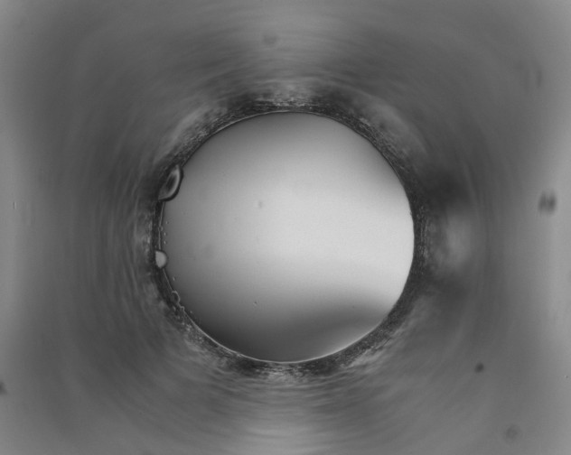 X0000090920697200708201806